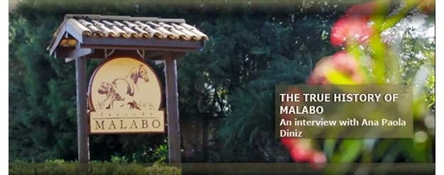 The true history of Malabo APD